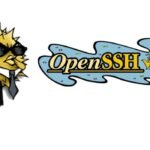Secure Networking: OpenSSH Vulnerabilities Exposed