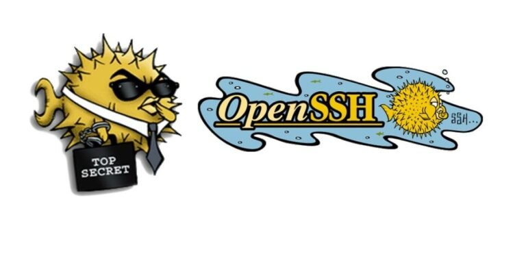 Secure Networking: OpenSSH Vulnerabilities Exposed
