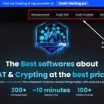 Mint Stealer: a deep dive into Malware-as-a-Service