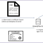 Critical Active Directory certificate services vulnerabilities: implications and mitigation strategies