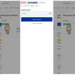 Malicious scripts on the CASIO e-shop stole credit card and personal customer details