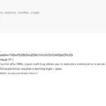 Critical Roundcube vulnerability (CVE-2025-49113): exploit sold in Darknet as “Email Armageddon” looms