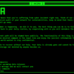 Akira: a CAPTCHA breach unravels enterprise security