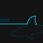 Wireshark 4.6.1: critical security update addresses major vulnerabilities