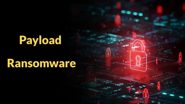 Payload Ransomware Deploys ChaCha20 + Curve25519 ECDH to Lock Files — 50+ Victims Across Five Countries