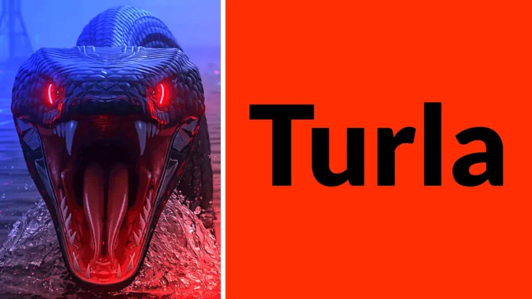 Russia’s Turla APT Deploys STOCKSTAY Backdoor Against Ukrainian Government and Military Targets