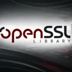 HollowByte: How 11 Bytes Can Quietly Starve an OpenSSL Server to Death